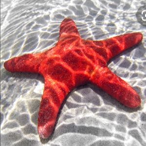 Meet your Posher, Caryn